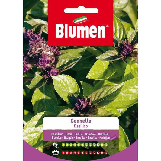 Graines de basilic cannelle en sac