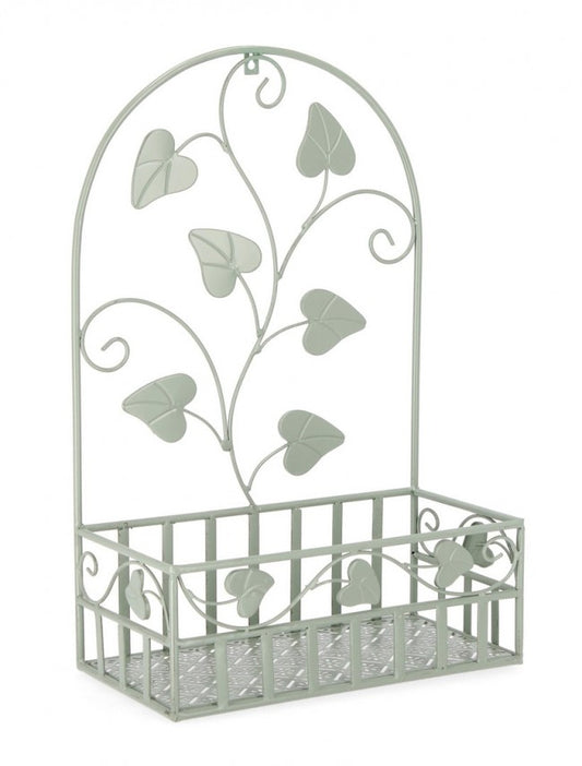 4x Mur P.Fiore Harriet Rett Salvia L