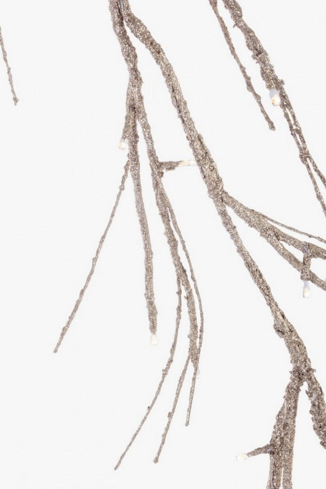 2x Guirlande Glad 40Led Champ Classic Ip20