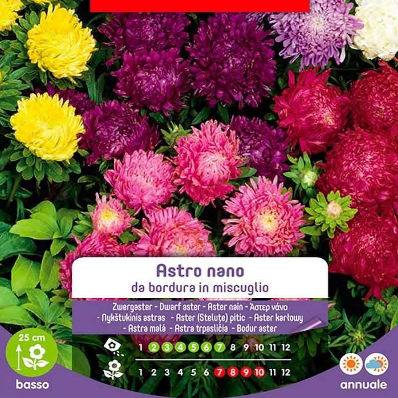 Mélange de graines Border Astro Nani