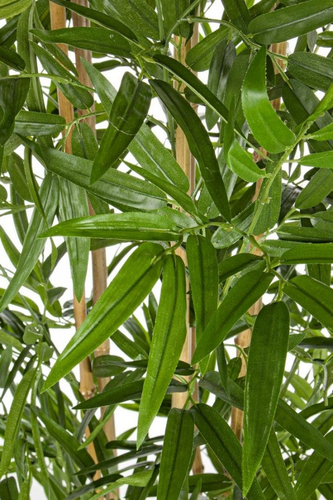 2x Plante de décoration d'intérieur en bambou avec pot de 185h cm