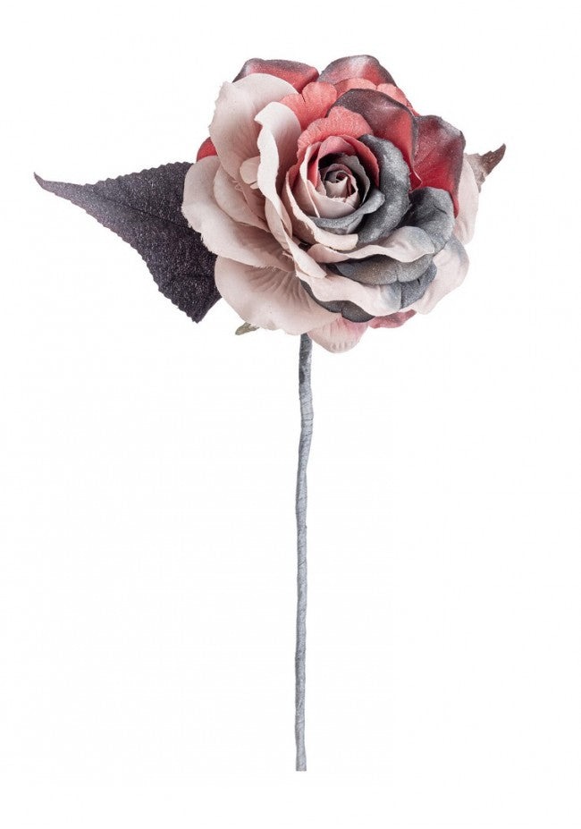 12x Pique Rosa Coline Rose/Rouge