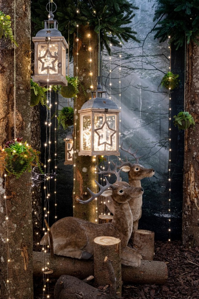 2x Set2 Lanterne Isa Wood Nat C